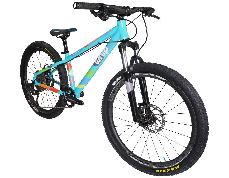 WHIP MTB 24"