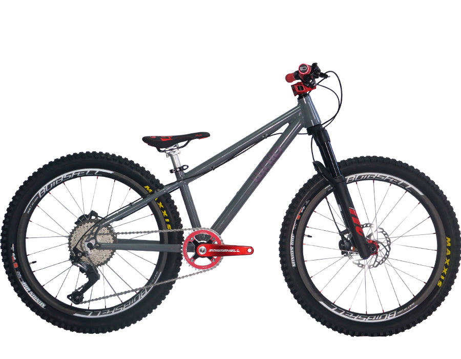 WHIP MTB 24"